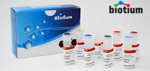 Poupe 30% em reagentes da Biotium Life Science