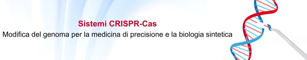 /upload/15-g5nyb7.jpg