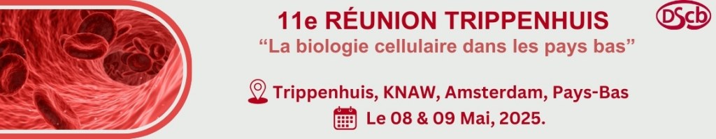 /upload/25-renpup.jpg