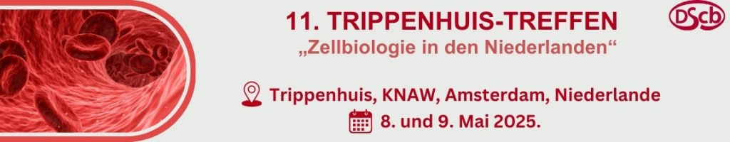 /upload/26-mmddwj.jpg