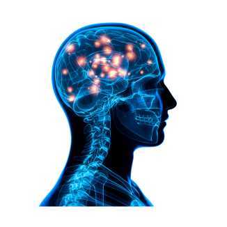 Neurological