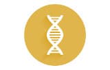 DNA polymerases for High-Fidelity PCR