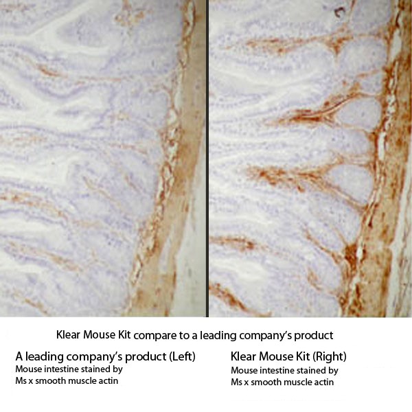 neoklear mouse