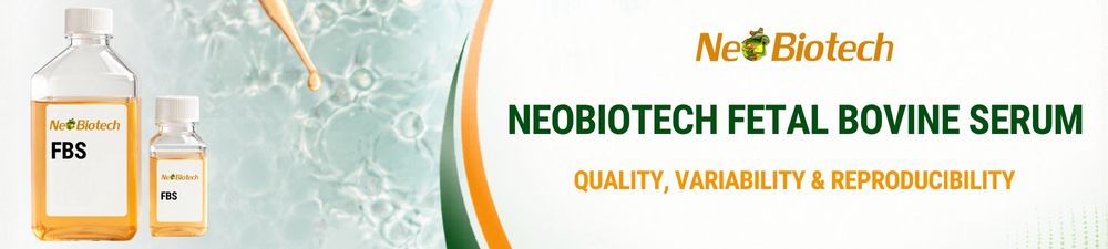 /upload/fbs-nb-en-8vwedr.jpg