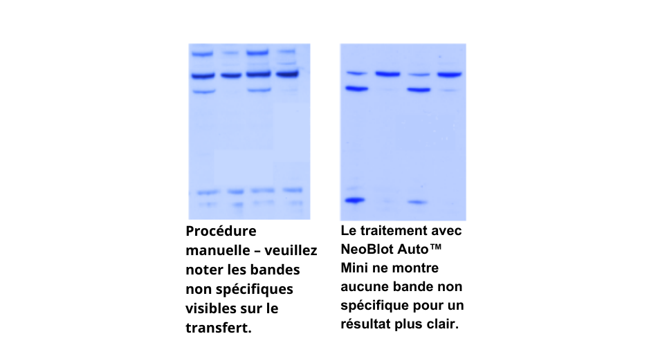 /upload/francais-54-w5xq93.png