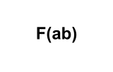 F(ab) fragmented secondary antibodies 