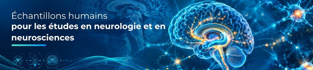 /upload/neuro-fr-cvc48c.jpg