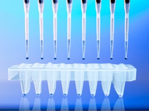 Standard PCR Protocol