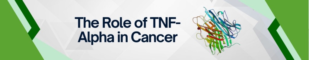 /upload/promotion-banner-to-all--cpfkem.jpg