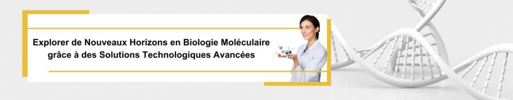 Bannière Promotionnelle