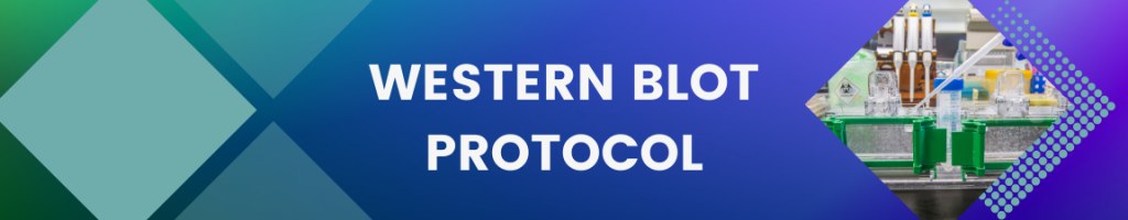 /upload/promotion-banner-to-all-11-cpqyvz.jpg