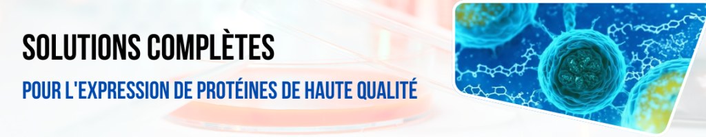 /upload/promotion-banner-to-all-13-edu5n2.jpg