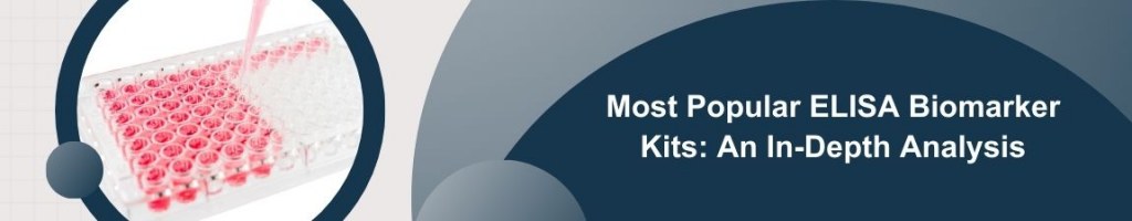 /upload/promotion-banner-to-all-4-6tc5y3.jpg