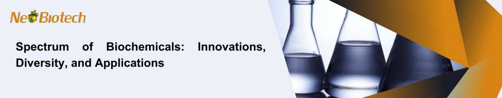 /upload/promotion-banner-to-all-5-fy2ren.jpg