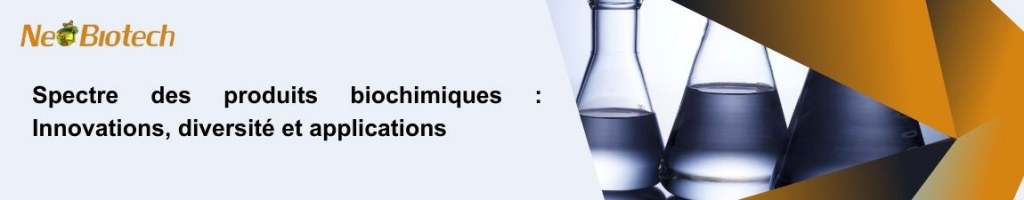 /upload/promotion-banner-to-all-4-gpf8n4.jpg