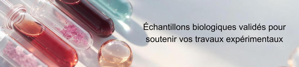 Lipid Nanoparticles Banner