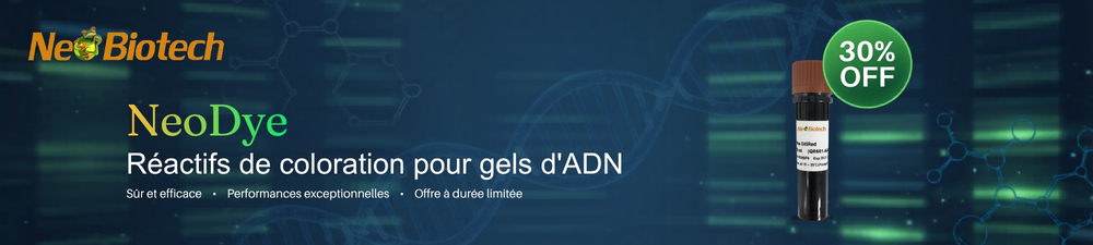 Bannière Nanoparticules lipidiques