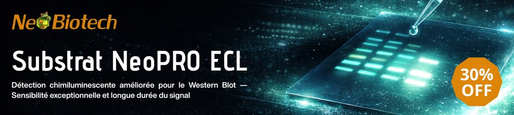 Lipid Nanoparticles Banner