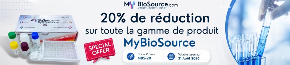 /upload/promotion-website-40-8m74m3.jpg