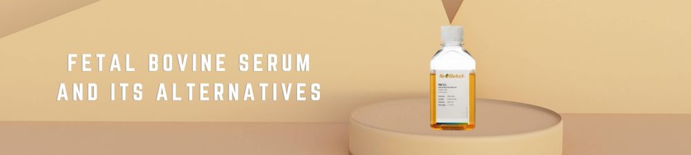 Lipide Nanodeeltjes Banner