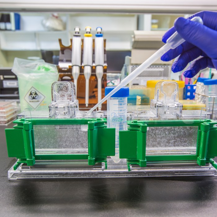 /upload/sample-preparation-1-nanbkd.jpg