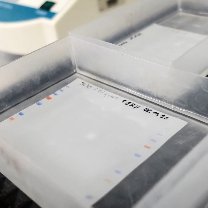 /upload/sample-preparation-3-dtqxva.jpg