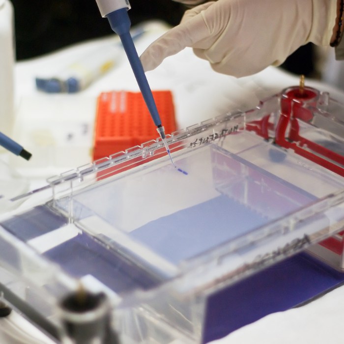 /upload/sample-preparation-c6ytg7.jpg