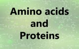 Assay kits - amino acids and proteins