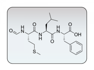 Custom Peptide Synthesis