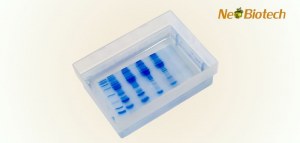 FREE ECL Sample with Every Primary Antibody Purchase
