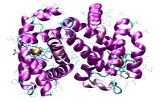 Protein analytics