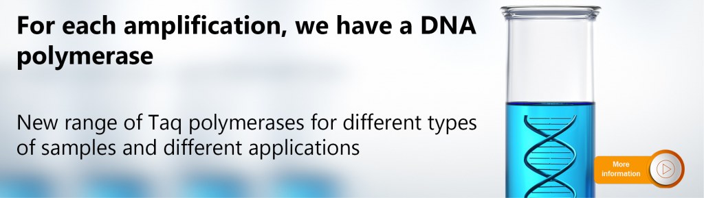 DNA polymerases